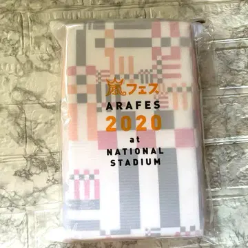 ARAFES 2020 다다미 쿠션