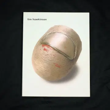tim hawkinson 팀 호킨슨 작품집 외국도서 조각가