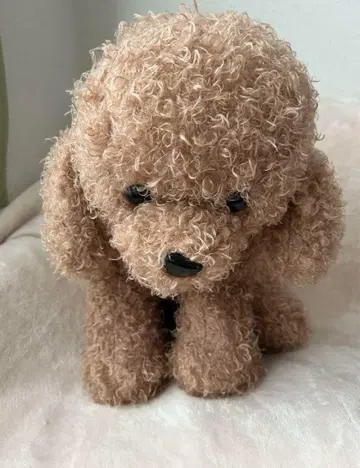 늘어진 푸들 BIG 봉제 인형 인형뽑기 경품