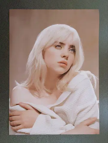 Billie Eilish 빌리 아이리시 포스터 스티커