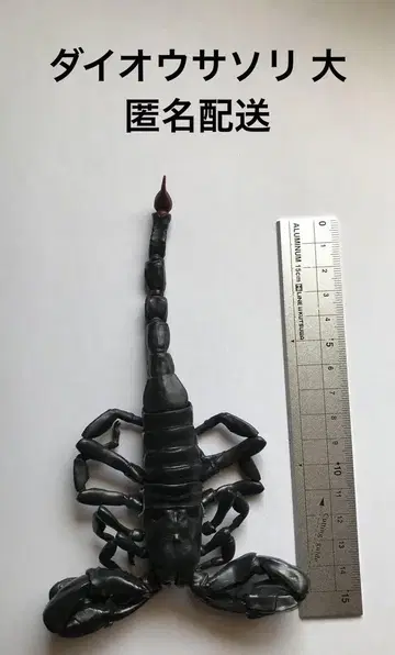 생물대도감 다이오우전갈 대