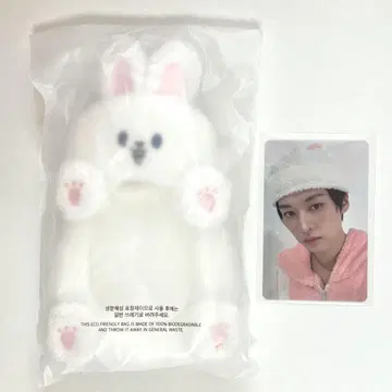 Stray Kids 리노 리빗 릴홀더 트레이딩 카드 케이스 스키즈