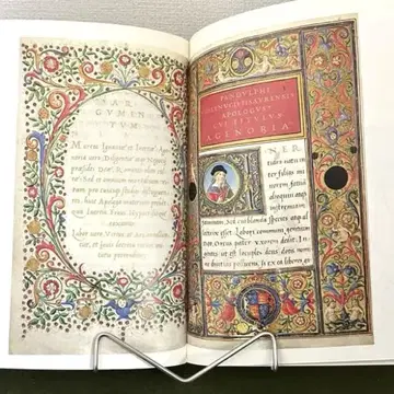 The Story of Writing by Donald Jackson
