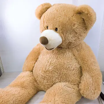 곰 봉제인형 Costco