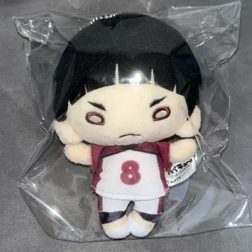 하이큐!! 고시키 츠토무 니토탄 봉제 인형
