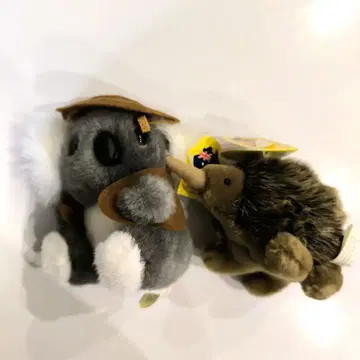 코알라 키위 봉제 인형 세트 미사용 새상품