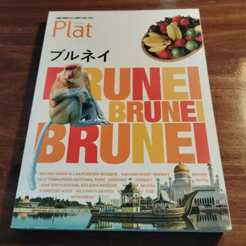 지구의 걸음걸이 Plat 22 브루나이