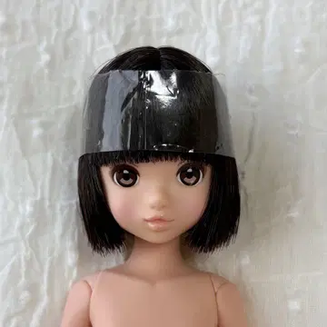 CCSgirl 18AW 루루코 펫 웍스