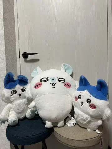 치이카와 패러렐 월드!? BIG 봉제 인형 모몽가 초피그 봉제 인형