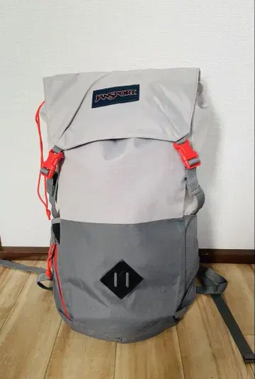 잔스포츠 JanSport Pike 백팩 24L