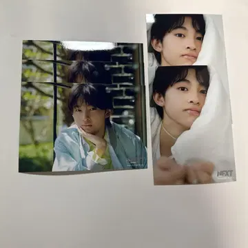 BATTLE BOYS SAKURA 아사이 하루토 브로마이드
