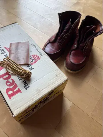 REDWING 아이리쉬 세터 875 반원 개 택 레어 레어