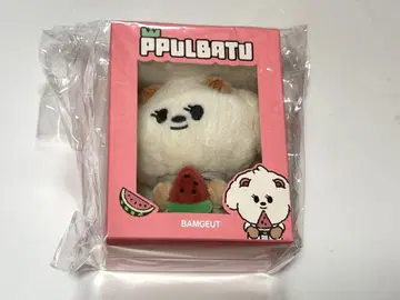 1 공식 TXT PPULBATU 범규 밤굿 키링 POPUP