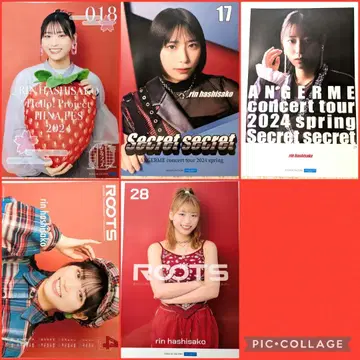 하시사코 링 핑포스 5점 2024년 앙주르므