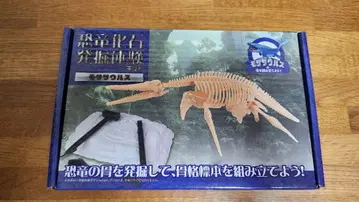 공룡 화석 발굴 키트 모사사우루스