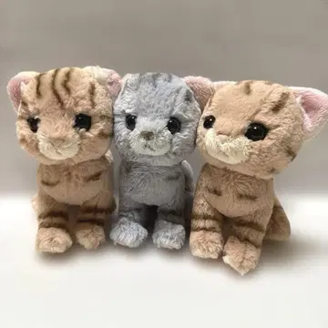 썬레몬 kitten 고양이 세트 봉제 인형 푹신푹신 흐느적흐느적