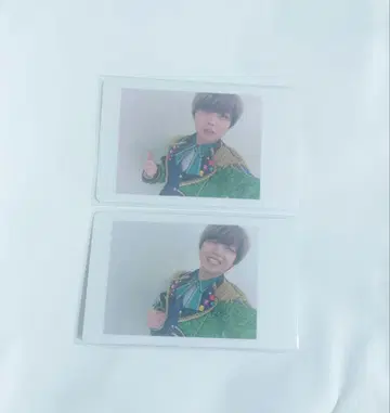 팬더드래곤 파라곤 하피카 아즈