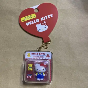 산리오 미니어처 패키지 참 (미니어처 토이) 키티와