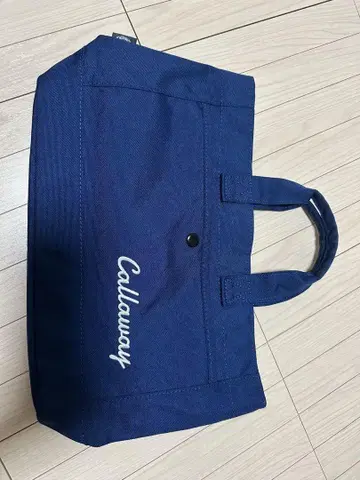 골프 라운드 백