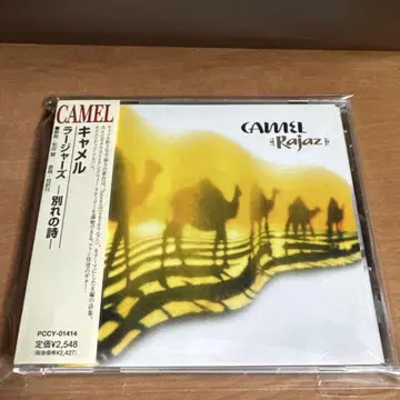 Camel / Rajas