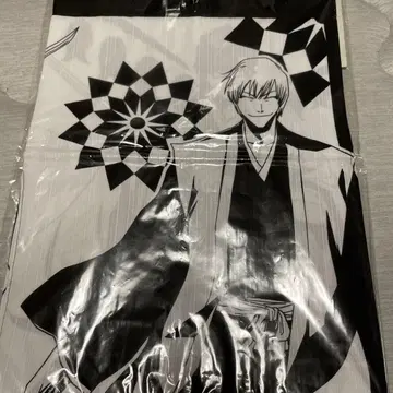 BLEACH 발 렌 아이젠 소스케, 이치마루 긴