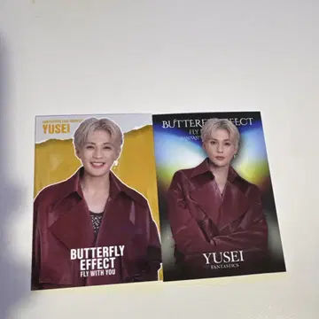 야기 유세이 포토 카드 시크릿