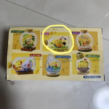 피크민 테라리움 컬렉션 운반