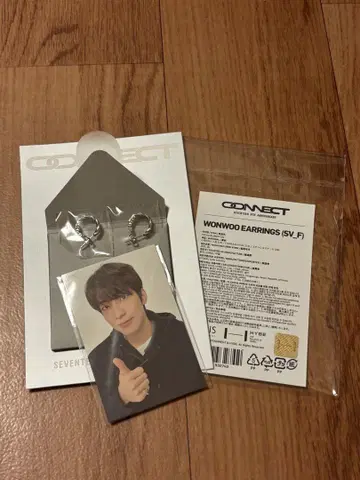 SEVENTEEN WONWOO 원우 귀걸이