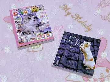 필사적인 고양이 냐플 콩 도서 가챠 2세트