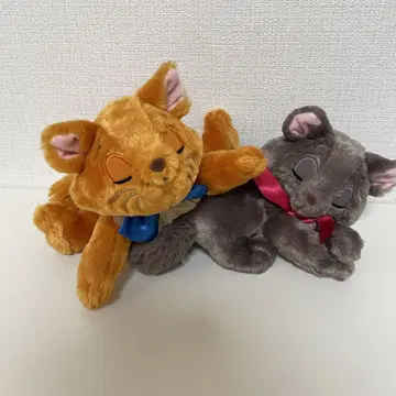 툴루즈 벨리오즈 세트