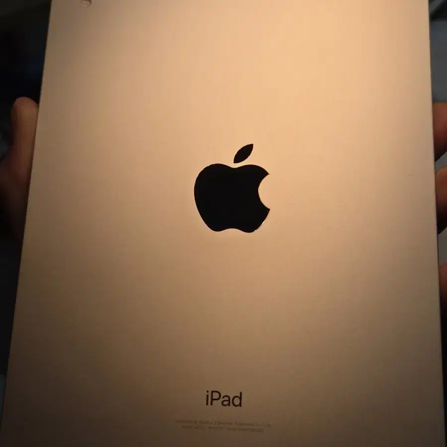 iPad Mini 5 64GB ゴールド＋Apple pencil 第一世代 APPLE