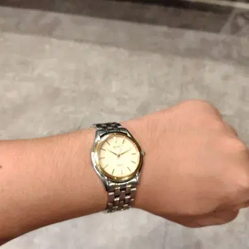 SEIKO 돌체 8J41-6160 남성용 쿼츠 시계