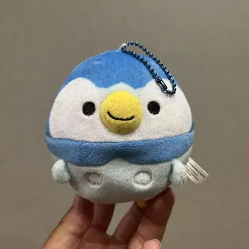 포켓몬 센터 한정 팽도리  마스코트