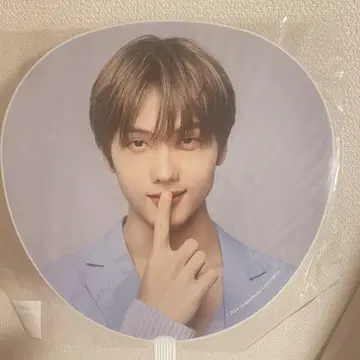 지성 부채