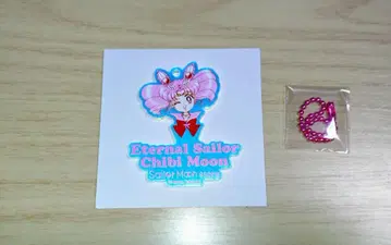 세일러 치비문 오로라 참