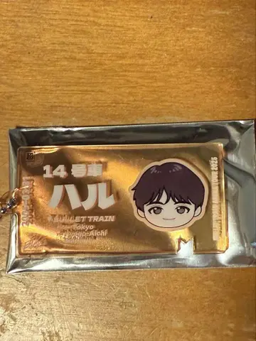 초특급 EVE 하루 티켓 아크릴 키링