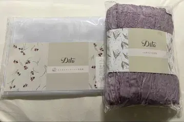 Dita 헤코오비 오간자
