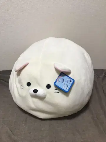 뒹굴 고양이 서미트 이토