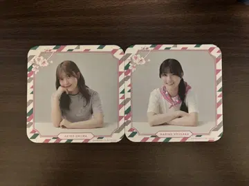 사쿠라자카 카페 코스터 마그넷