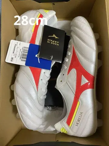 모렐리아2 Japan