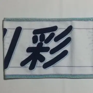 오가와 아야 개별 타월 한여름의 전국 투어 2024 도쿄 노기자카46