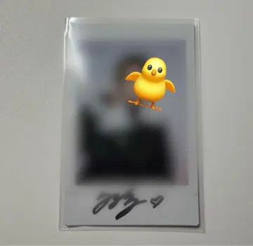 straykids 친필 사인 폴라로이드 필릭스