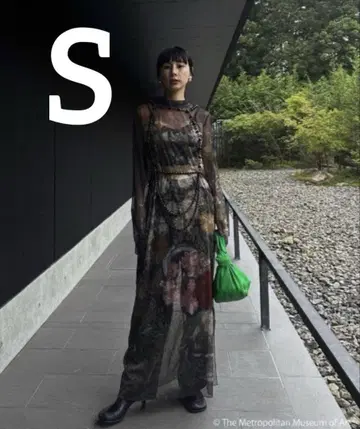 AMERI x THE MET SHEER DRESS