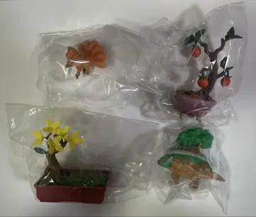 포켓 BONSAI 3 -변해가는 계절과 함께-