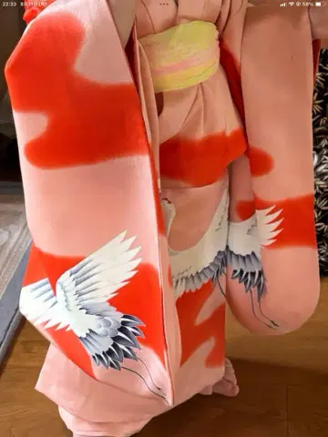 설명용 핑크 오렌지 학 자수 쥬반