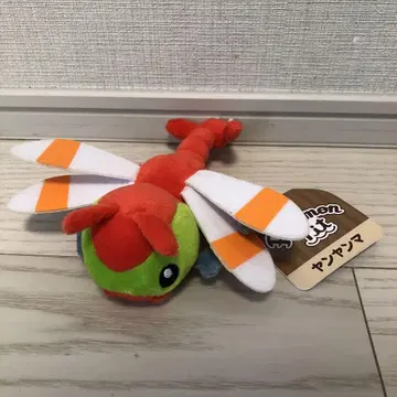 pokemon fit 얀얀마