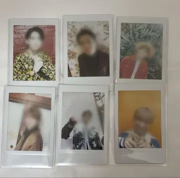 타무라 쇼고 폴라로이드