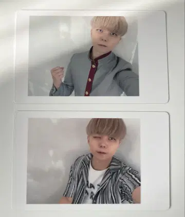 팬더 드래곤 아즈 하피카