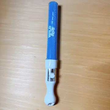 WILDBLUE 응원봉 데뷔 쇼케이스