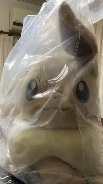 포켓몬 복권 C상 이브이 봉제 인형 본체 배송비 포함
